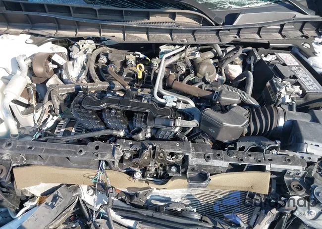 1N4BL4BVXRN363234: 42786478