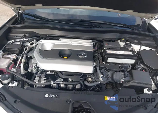 JTHP3JBH7N2052671: 42785838