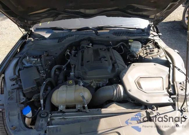 1FA6P8TH6L5145689: 42787178