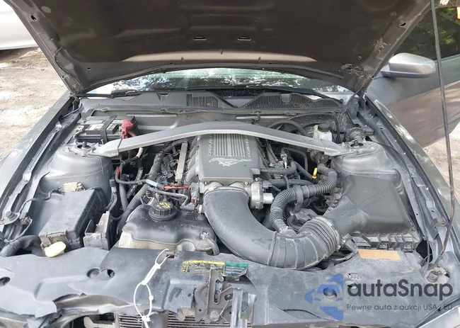 1ZVBP8CH7A5164755: 42788019