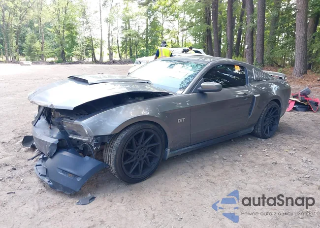 1ZVBP8CH7A5164755: 42788019