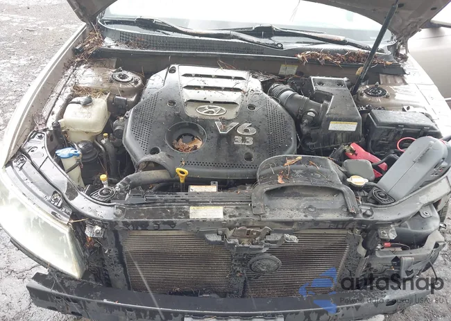 5NPEU46F96H023141: 42788083