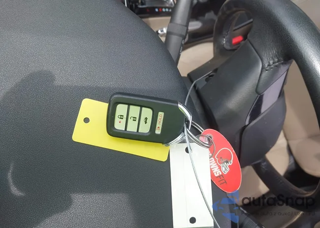 19XFB2F92FE101319: 42788354