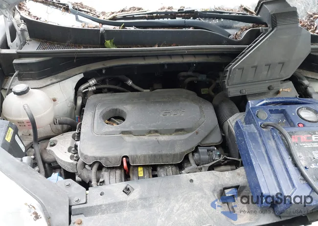 KNDPMCAC8M7895781: 42787677