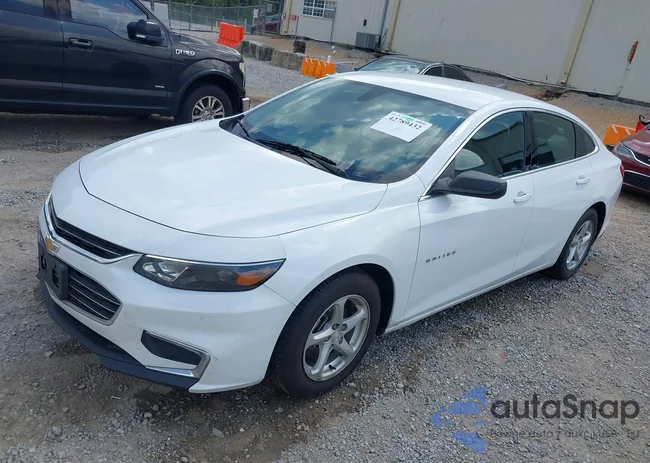 1G1ZB5ST4JF226345: 42789432