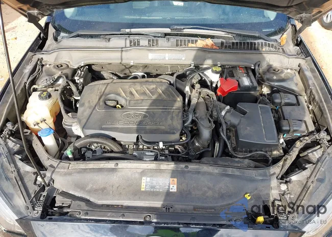 3FA6P0HD1HR391819: 42789568