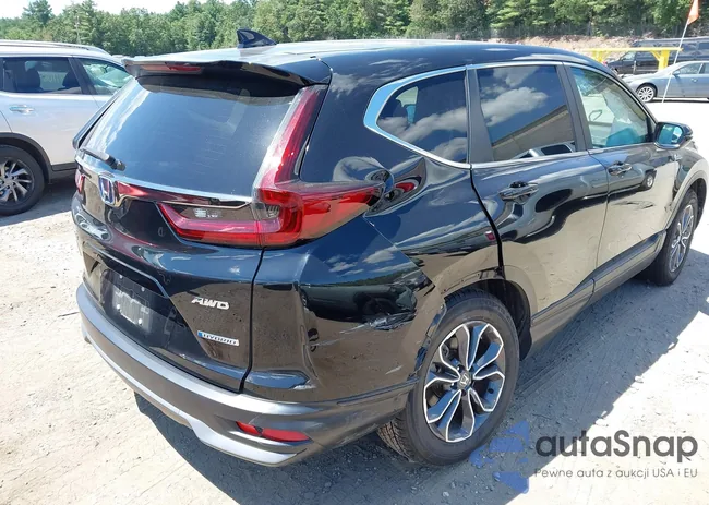 5J6RT6H85NL005934: 42788604