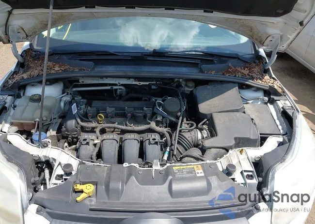 1FADP3F26EL121876: 42790102