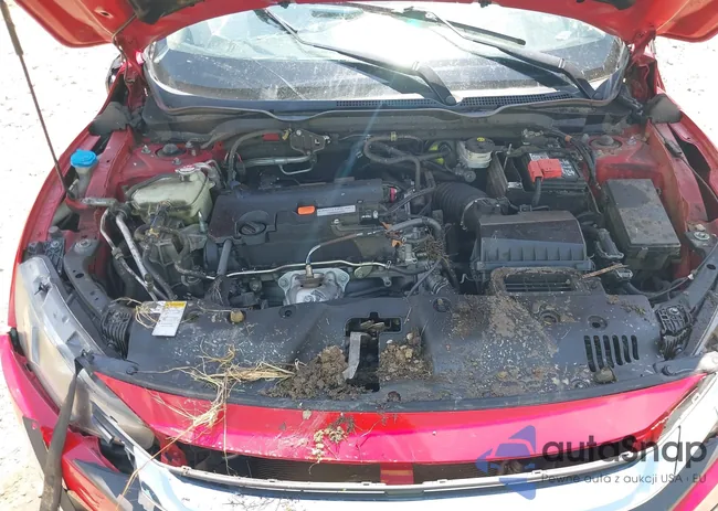 2HGFC2F55GH552584: 42792187