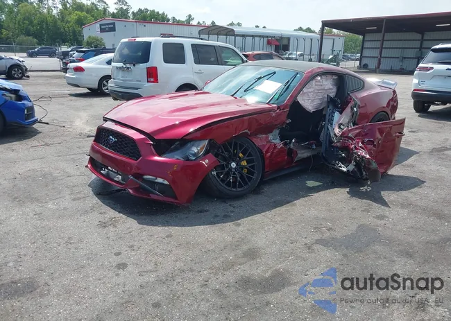 1FA6P8AM1G5255541: 42792571