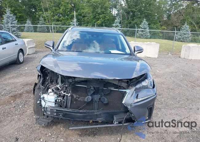 JTJDARDZ1L2236139: 42793332