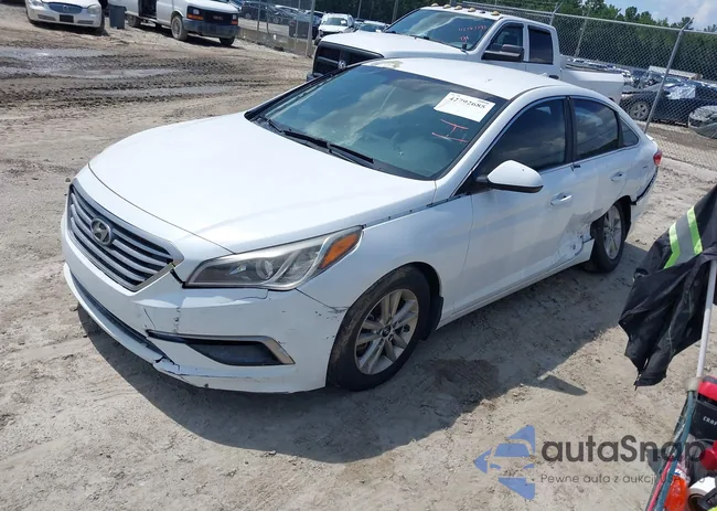 5NPE24AF9FH245370: 42792685