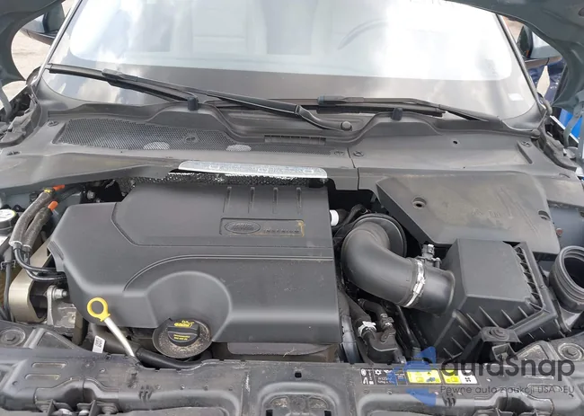 SALZJ2FX7MH135528: 42794317