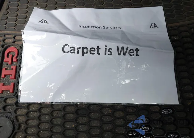 3VW547AU6JM263013: 42794476