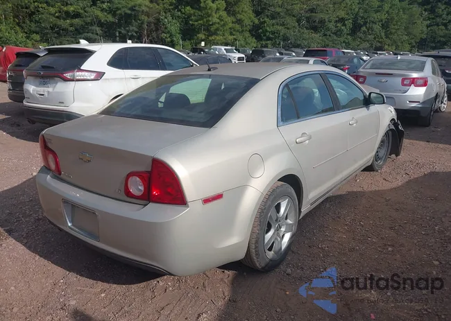 1G1ZH57B19F135835: 42795053