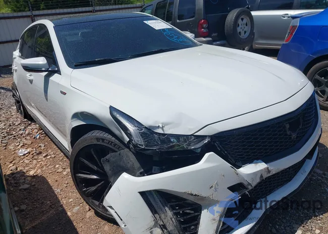 1G6DY5R63P0860194: 42795560