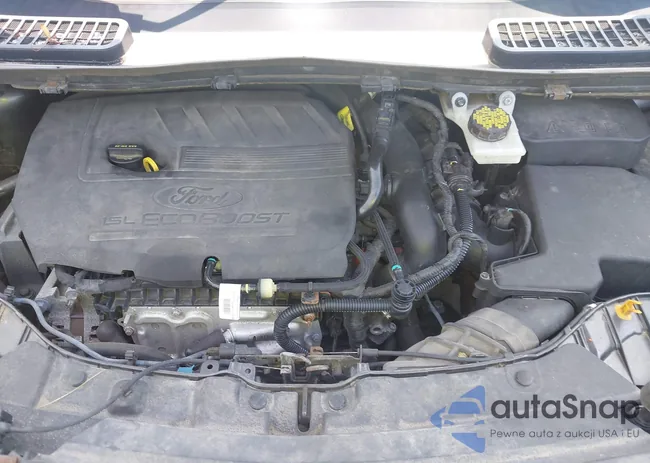 1FMCU9GD8JUB65783: 42795981