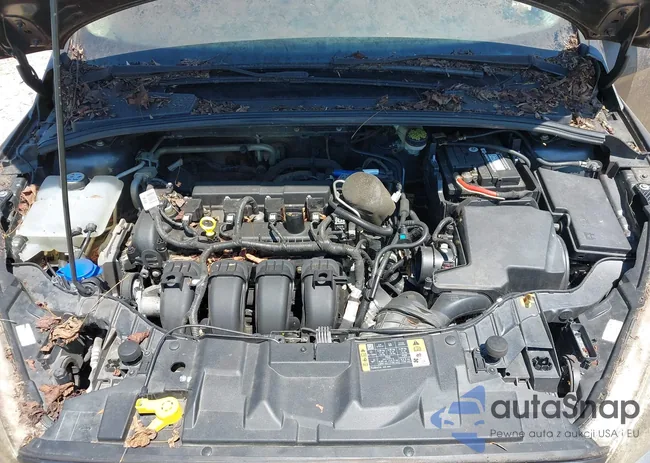 1FADP3F2XFL228561: 42796493