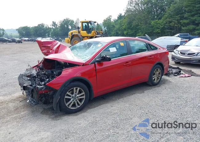 5NPE24AF6HH465827: 42795752