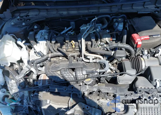 1N4BL4DV5MN303819: 42797336