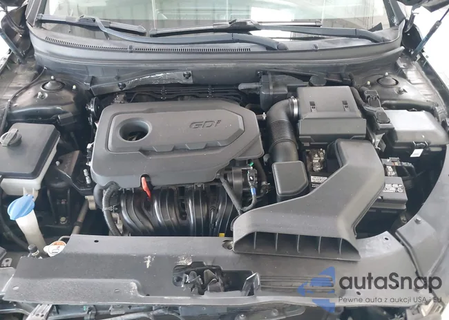 5NPE34AF8JH613172: 42796934