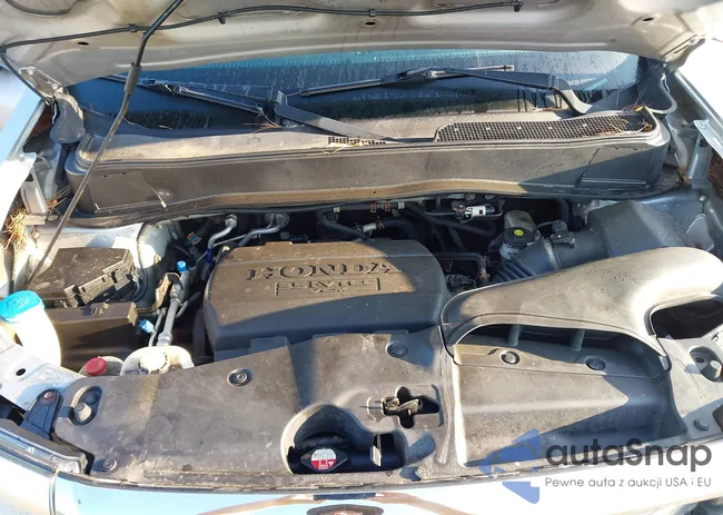 5FNYF4H51DB055976: 42798177