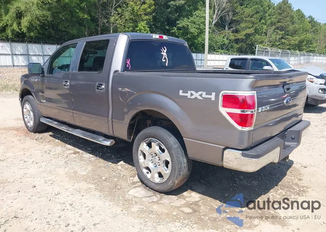 1FTFW1ET1BFB88206: 42798781