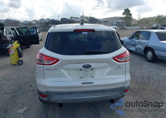 1FMCU0GX2DUD07734: 42800203