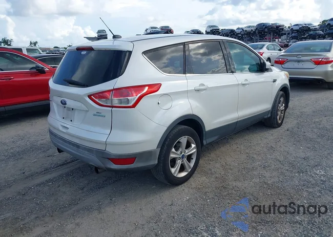 1FMCU0GX2DUD07734: 42800203