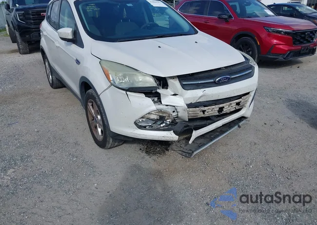 1FMCU0GX2DUD07734: 42800203