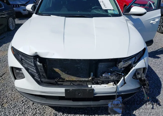 KM8JBCD14RU231360: 42800288