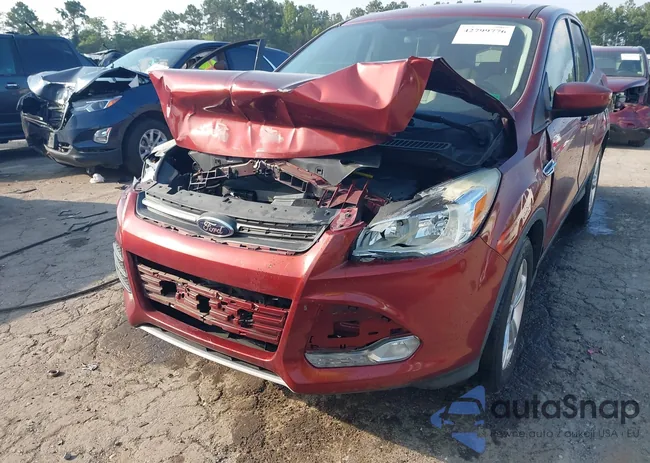 1FMCU0GX8FUA21342: 42799776