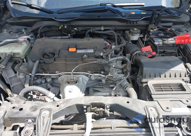 2HGFC2F65LH562020: 42801082