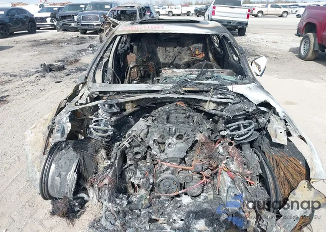 1G6DN5RK1S0102563: 42801188