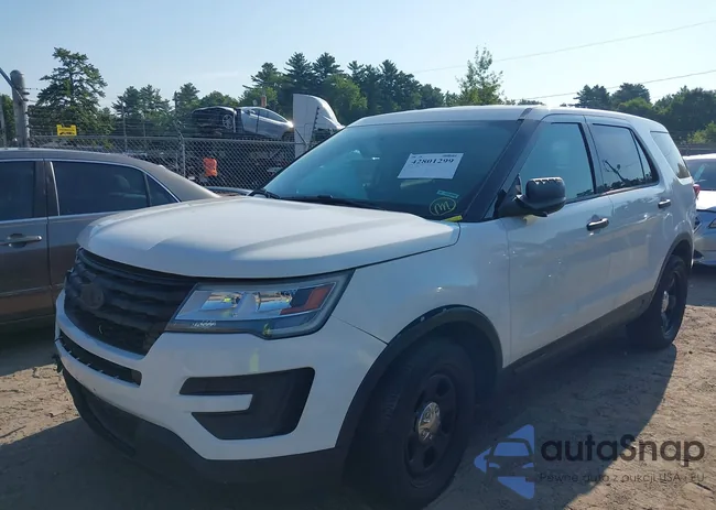 1FM5K8AR0HGD07517: 42801299