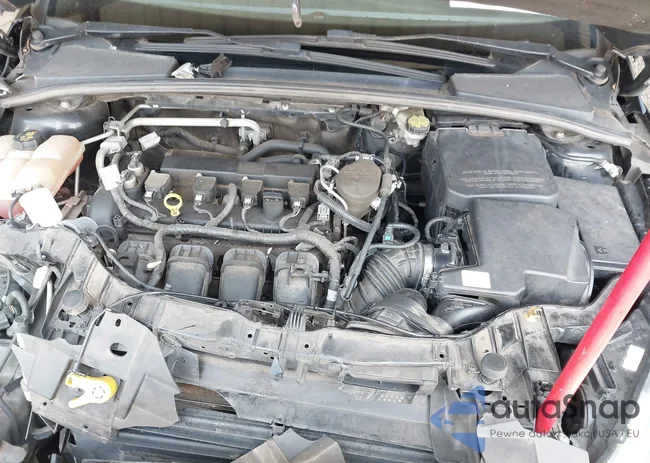 1FADP3F29GL304403: 42801308