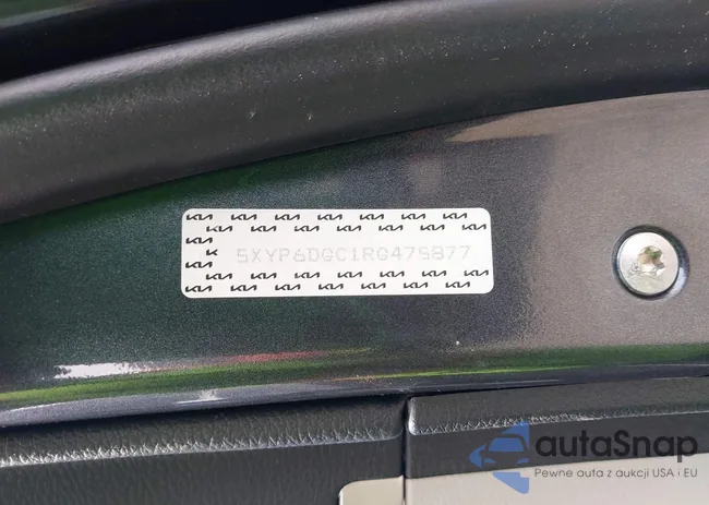 5XYP6DGC1RG475877: 42801341