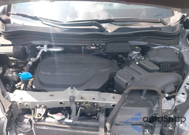 5FNYF8H52RB018045: 42801523