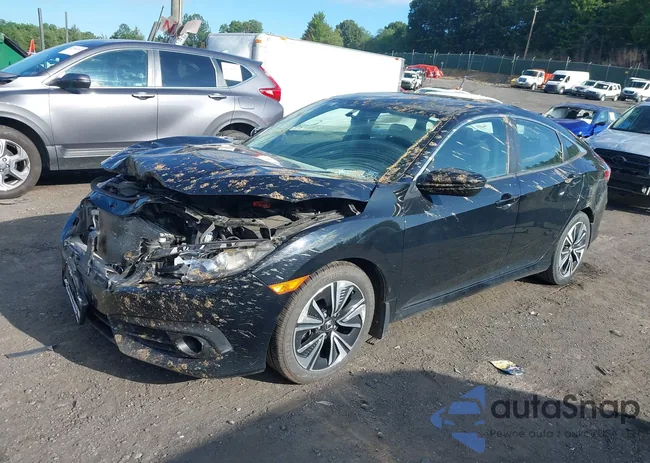 19XFC1F37GE024824: 42801553