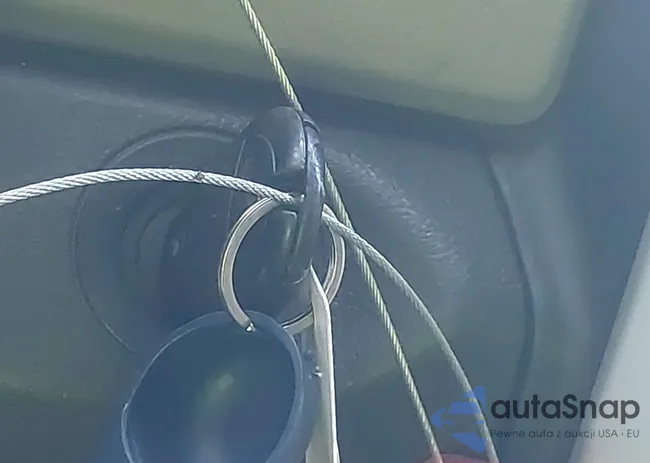 1D3HB13P59J509964: 42801784