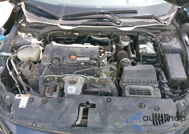 19XFC2F62LE024451: 42801889