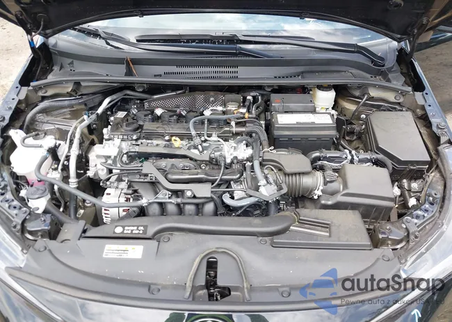 5YFB4MCEXSP226597: 42803088