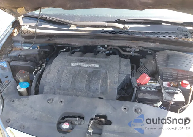 5FNRL38686B115545: 42803235