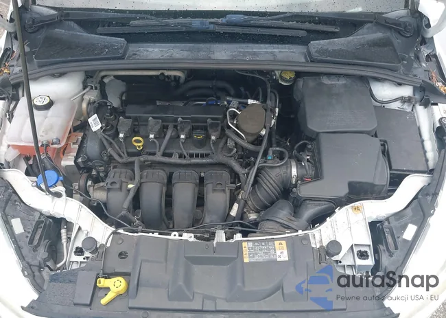 1FADP3K21FL382243: 42803435