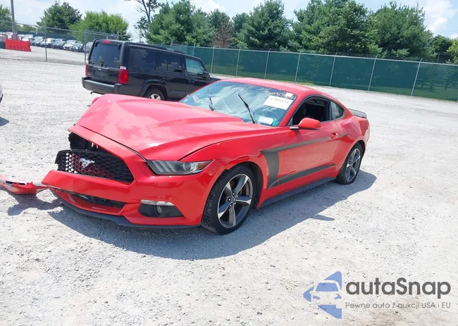 1FA6P8AM1G5215153: 42804124