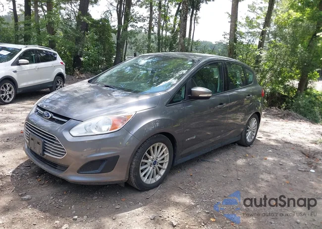 1FADP5AU9DL534796: 42804355