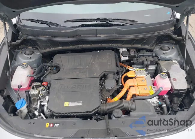 KNDCR3LE9P5053661: 42803733