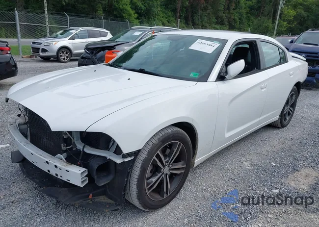 2C3CDXJG1EH341243: 42803884