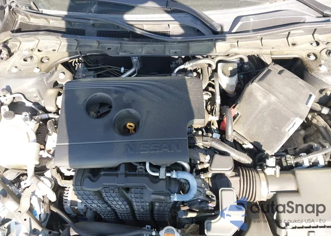 1N4BL4CV8LC176687: 42805338