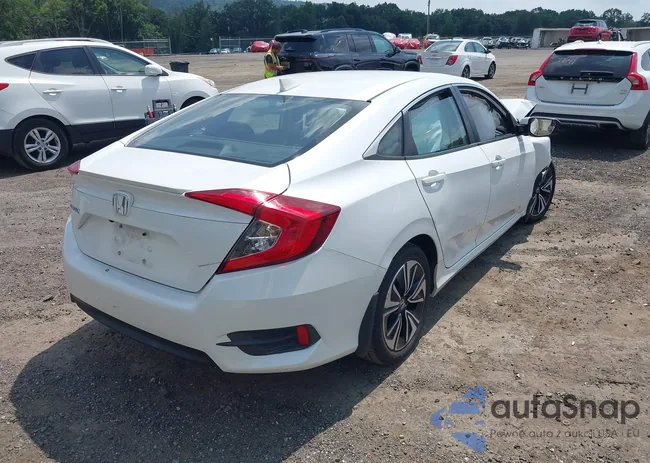 19XFC1F38GE203843: 42806404